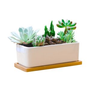 Rectangle White Ceramic Succulent Planter Pots