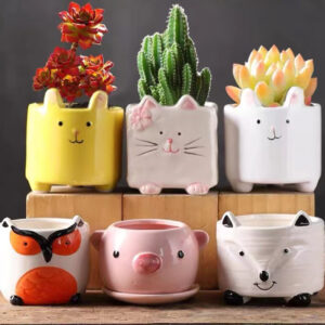 Cute Animal Design Home Decor Desktop Ceramic Succulent Planter Pot