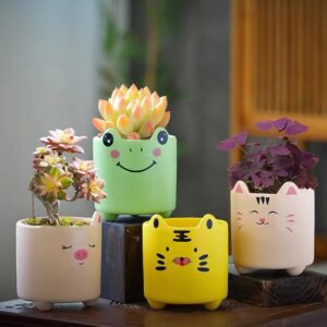 Cute Animal Design Home Decor Desktop Ceramic Succulent Planter Pot