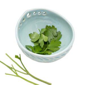 Home Restaurant Kitchen Tool Custom Ceramic Herb Stripper Bowl