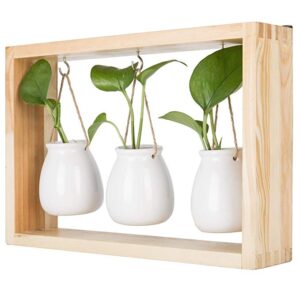 3 Pieces Ceramic Porcelain Wall Hanging Pot With Wooden Display Holder