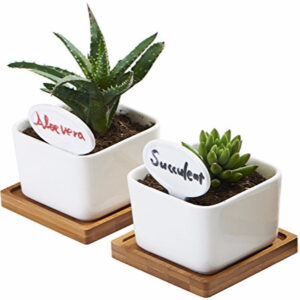 White Ceramic Small Square Succulent Cactus Flower Plant Pot with Bamboo Tray